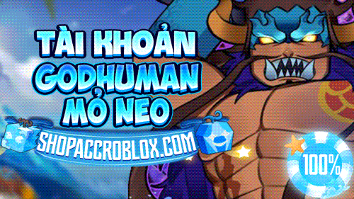 TÀI KHOẢN SHARK ANCHOR